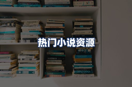 热门小说资源